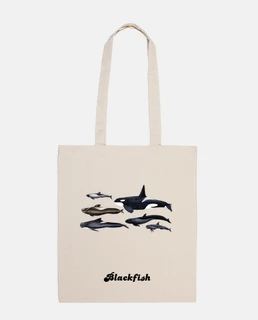 blackfish: orche e globicefali spalla