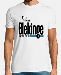 blekinge