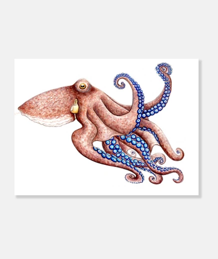 Stampa blu octopus tela