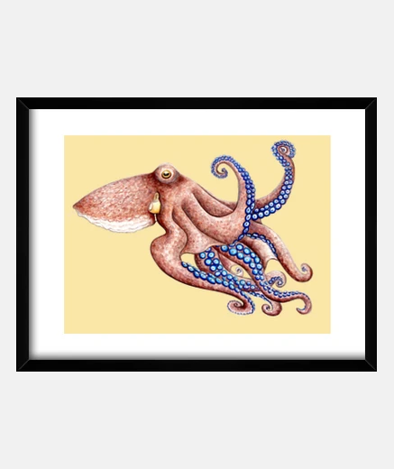 Cadre blue box octopus