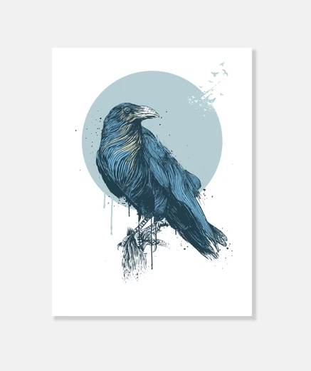 Wall blue crow