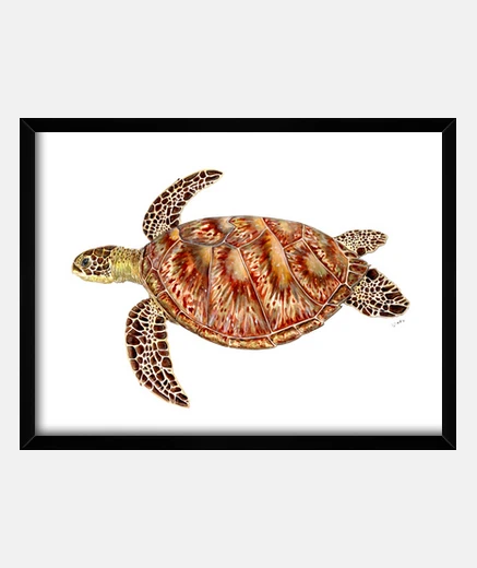 Cadre bo&icirc;te de tortue verte avec un cadre horizontal 4: 3 (40 x 30 cm)