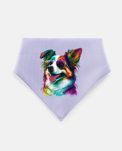 Mascotas Border Collie
