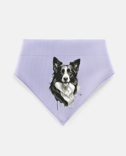 Mascotas border collie dog puppies for sale price shelter hotel