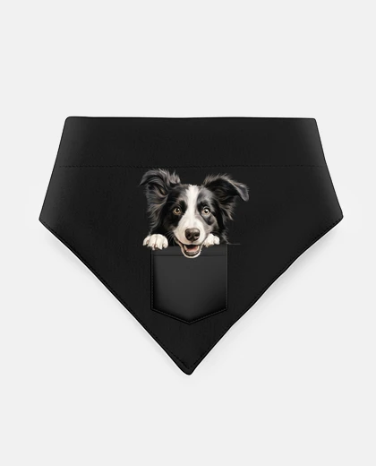 Mascotas border collie tan lindo en un bolsillo