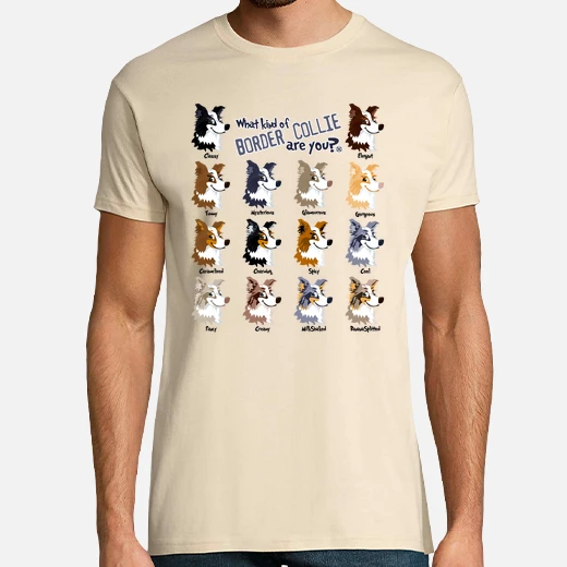 border collie couleurs (h)