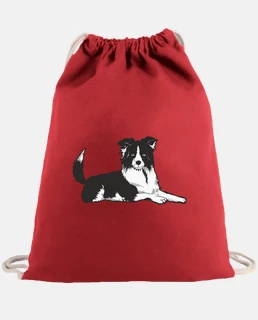 border collie, sheepdog, herding,