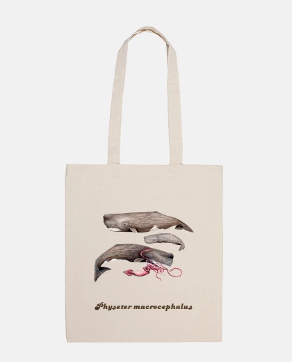 Borsa borsa tela capodoglio (physeter macrocephalus)