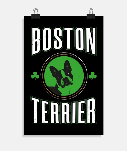 Poster boston irish terrier