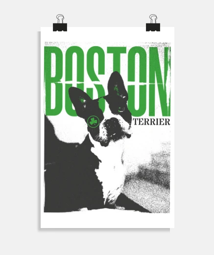 Poster boston terrier