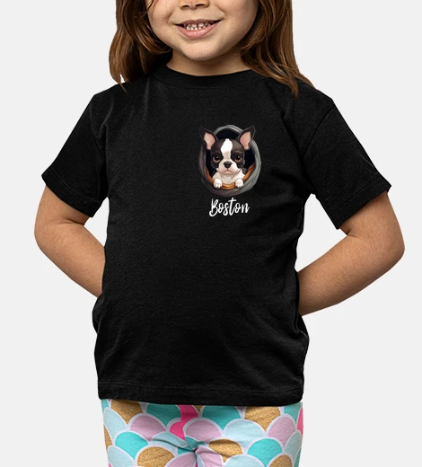 Ropa boston terrier dog inside pocket