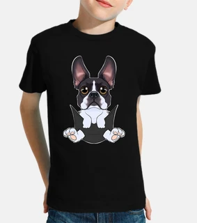 Boston Terrier Puppy In Pocket I Cute