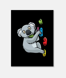 boulder arrampicata koala
