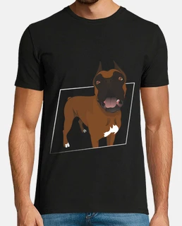 Boxer