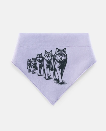 Mascotas branco di lupi bianchi