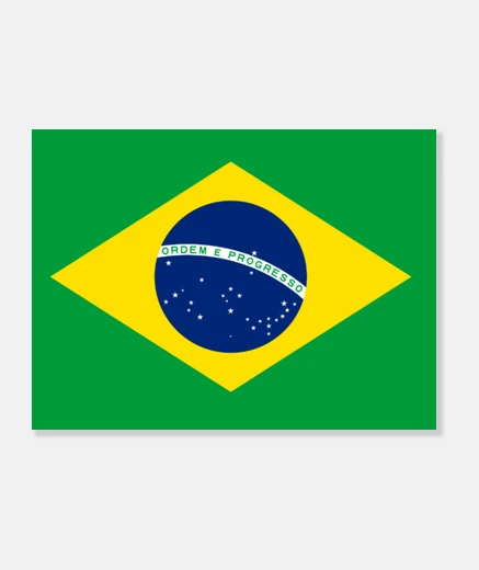 Stampa brazil flag