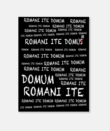 Wall brian's life: romani ite domum