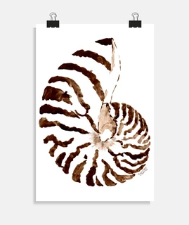 brown shell v