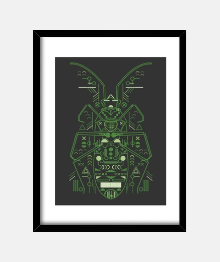 Framed bug