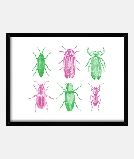 Framed bugs