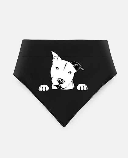 Mascotas bull