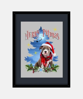 buon pitmas