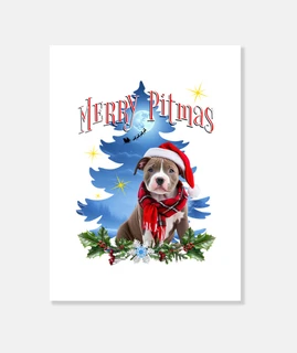 buon pitmas