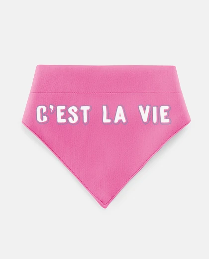 Mascotas c est la vie citation inspirante