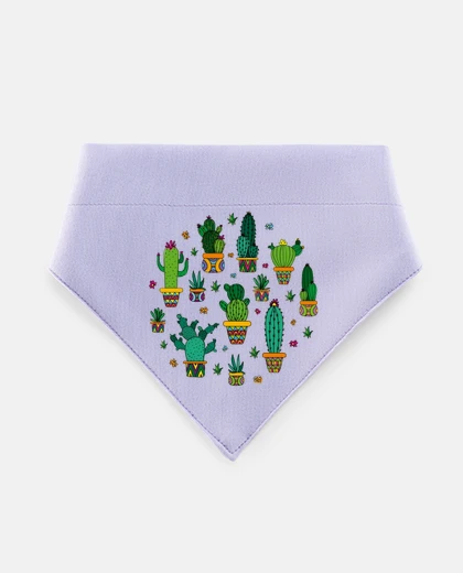 Mascotas cactus mexicains groupe folklorique