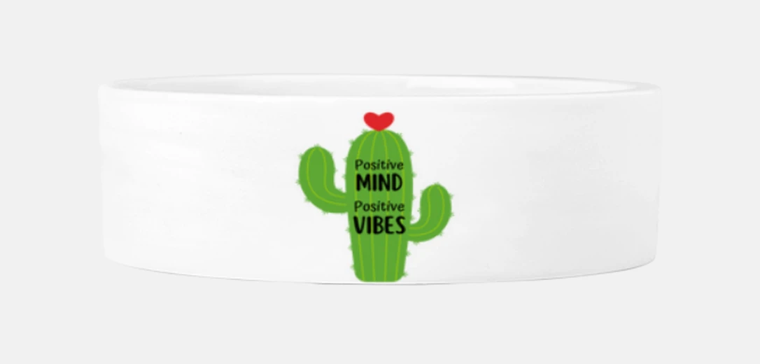 Mascotas cactus, pet feeder