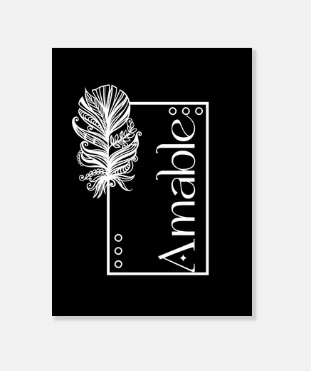 Tableau cadre de plumes complexe et charmant