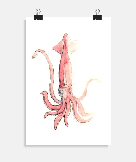 Poster calamar