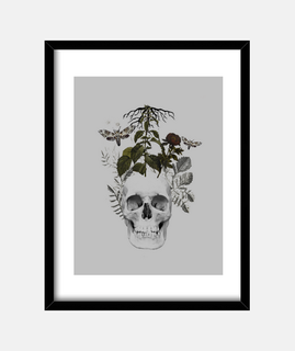 calavera con flores y  animales