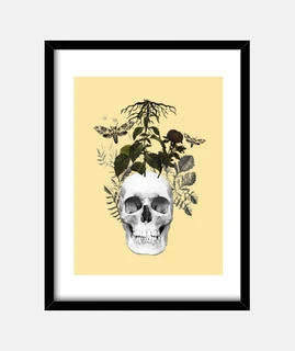 Calavera con flores y plantas