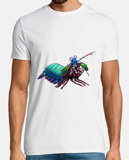 Camarón mantis