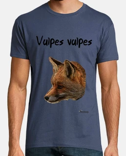 Camiseta Zorro color