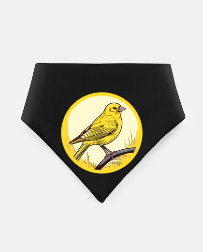 Mascotas canarino giallo da allevare in gabbia