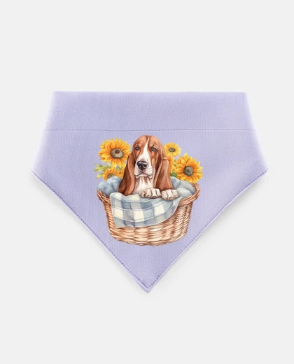 Mascotas cane basset hound in un sole di cesto di vimini