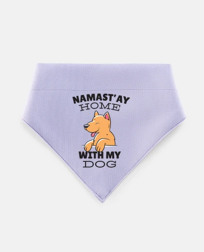 Mascotas cane namaste a casa con me