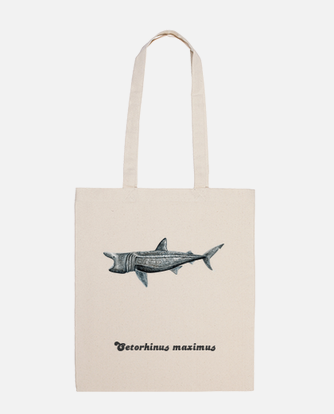 Canvas shark pilgrim (cetorhinus maximus)