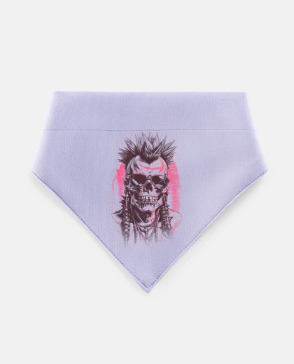 Mascotas capo grande del teschio punk indiano