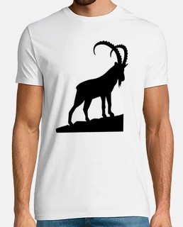 capricornio ibex