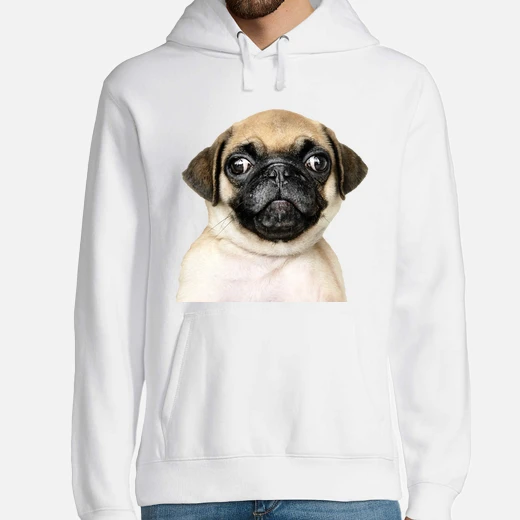 Sweat Capuche Homme Chien Carlin Bebe Tostadora Sweat Capuche Homme Chien Carlin Bebe Tostadora