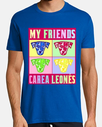 T-shirt carea leoni friends miei