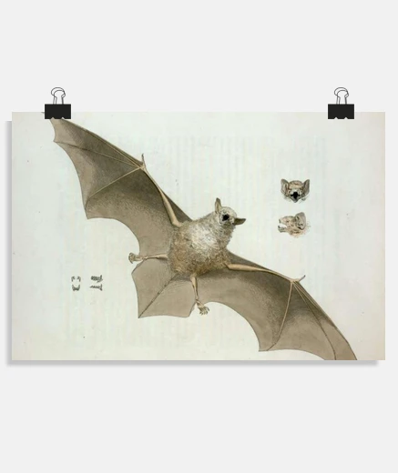 Póster cartel vintage de halloween, retro, murin, decoración antigua,