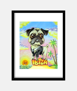 cartoni animati ibiza pug
