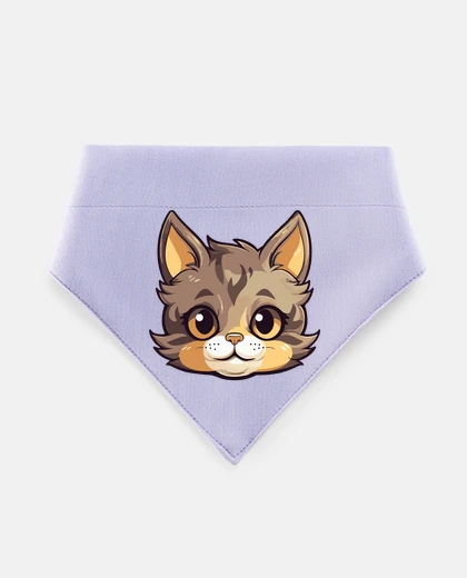 Mascotas cat baby kitten brown ginger sweet