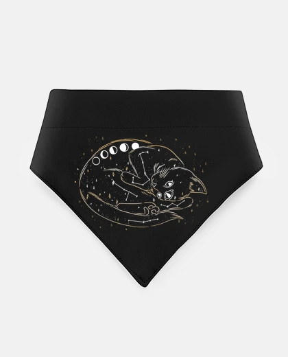 Mascotas cat galaxy constellation cats moon astrologer clairvoyant black gray