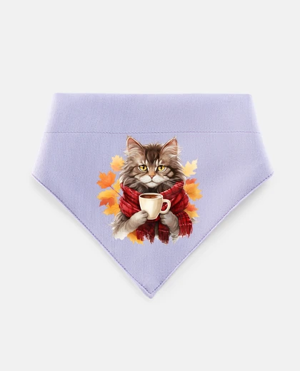 Mascotas cat scarf coffee choco autumn
