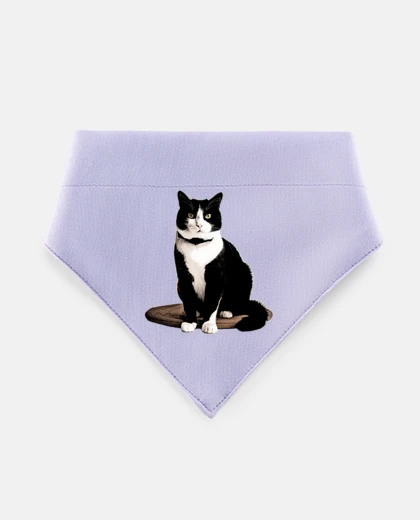 Mascotas cat tuxedo cat customizable